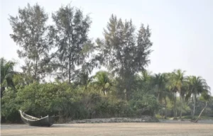 picture of saint martin island bangladesh