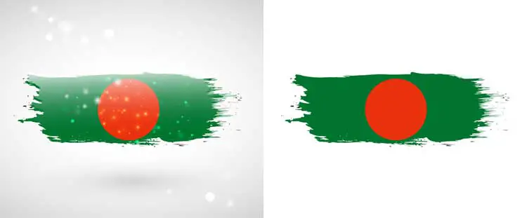 Bangladesh Flag Picture