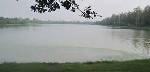 Ramsagar National Park lake picture