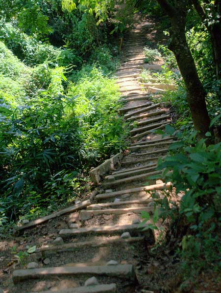 Stairs of Eco Park Sitakunda