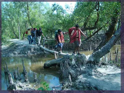 Travellers photo in Nijhum dwip