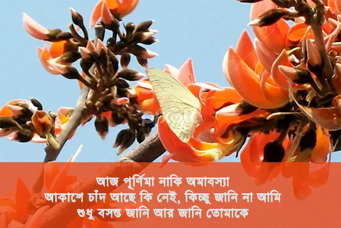 bangla falgun sms